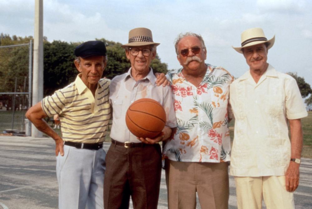 311815_full.jpg?1556167251